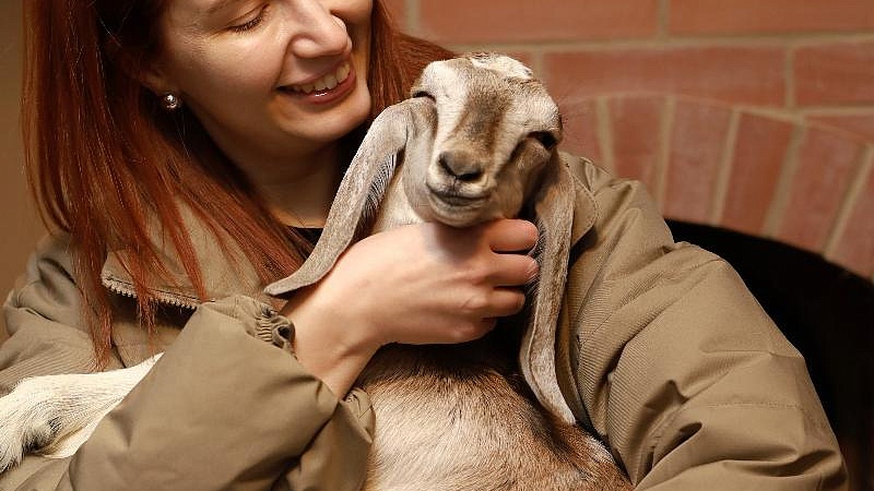 Фермеры Челябинской области запускают туристическое направление с господдержкой